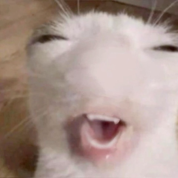 fattychaserxz4